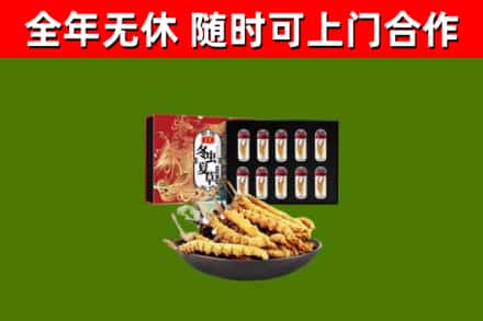 沿河县回收冬虫夏草价格