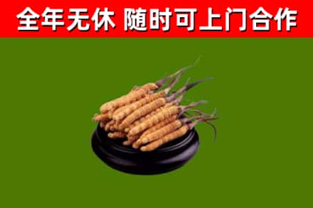 沿河县烟酒回收冬虫夏草.jpg