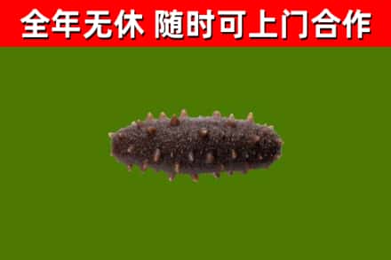 沿河县烟酒回收干海参.jpg